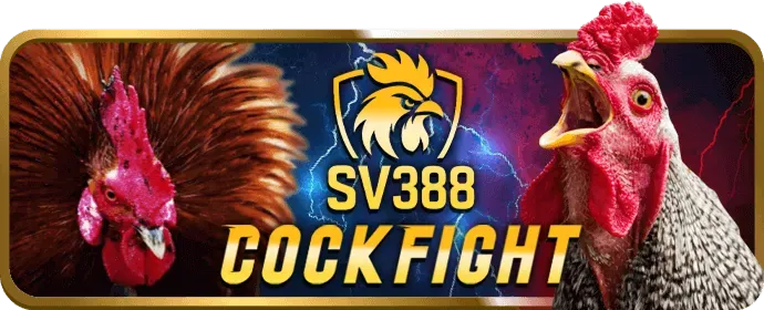 Cá cược thể thao oke365
